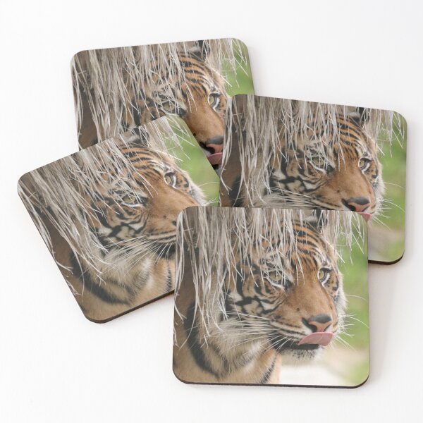 Item preview, Hidden Tiger designed and sold by MelKowasic.