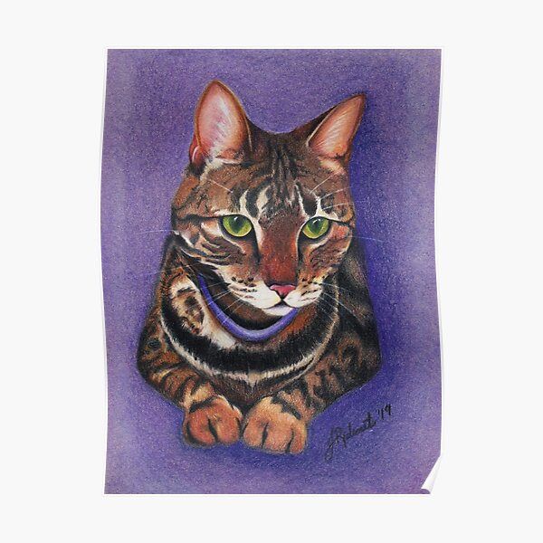 Tabby Cat Portrait (2019) Poster