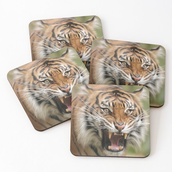 Item preview, Tiger Attack designed and sold by MelKowasic.