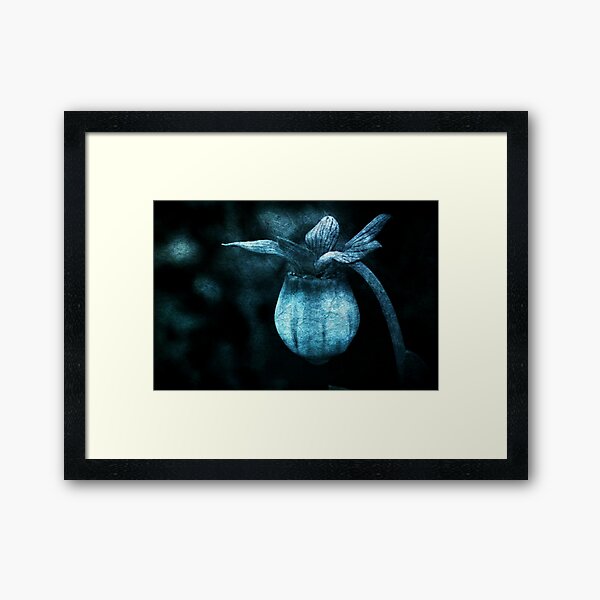 Beginnings Framed Art Print