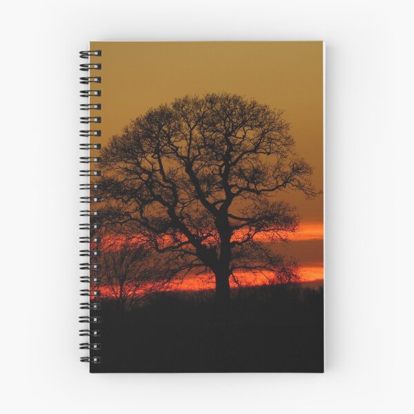 Item preview, One Silhouetted Tree at Sunset designed and sold by wiggyofipswich.