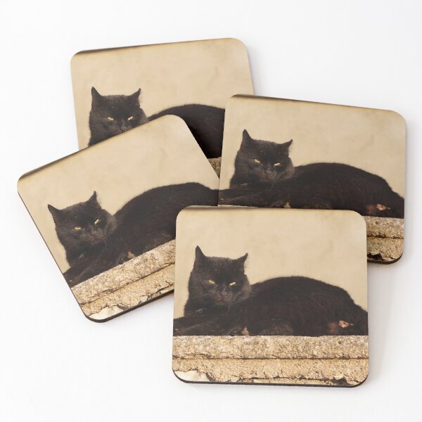 Item preview, this cat is an asshole:) designed and sold by distracted.