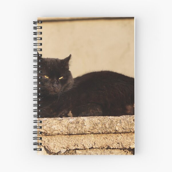 Item preview, this cat is an asshole:) designed and sold by distracted.