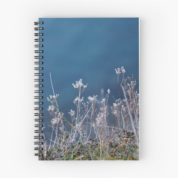 Item preview,  lake ohrid dry flower macro designed and sold by distracted.
