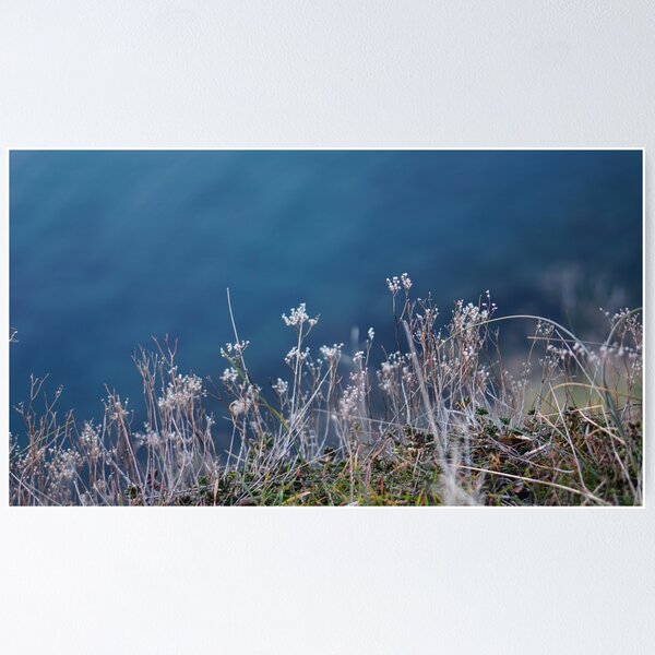 Item preview,  lake ohrid dry flower macro designed and sold by distracted.