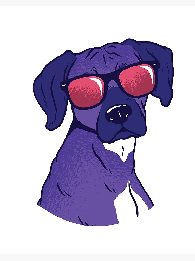 royal canin for 4 month old puppy