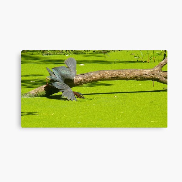 Overboard Canvas Print
