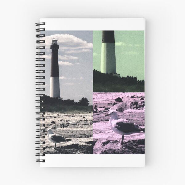 Item preview, Gull & Old Barney I designed and sold by brunoanjoloart.