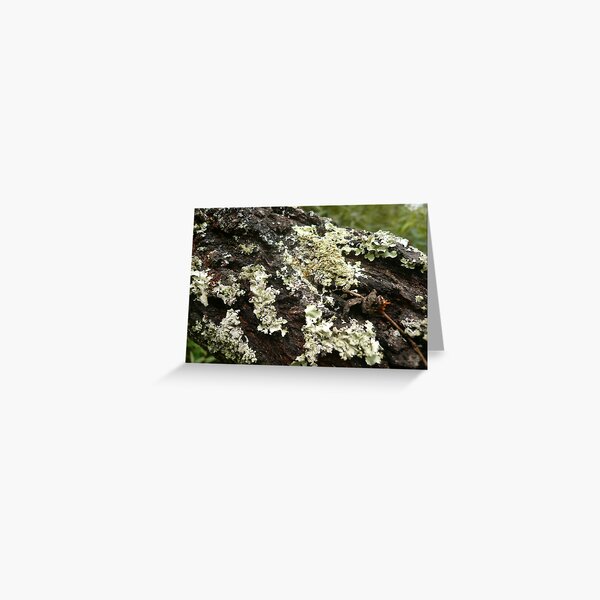 Item preview, ONP Lichen designed and sold by beeden.