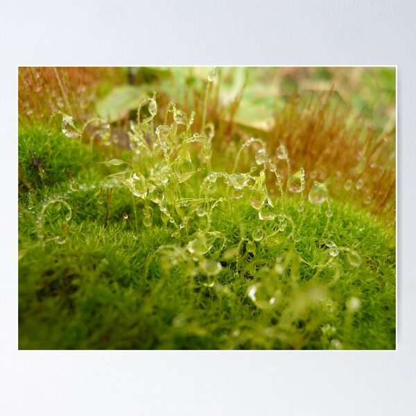 Item preview, ONP Raindrops designed and sold by beeden.
