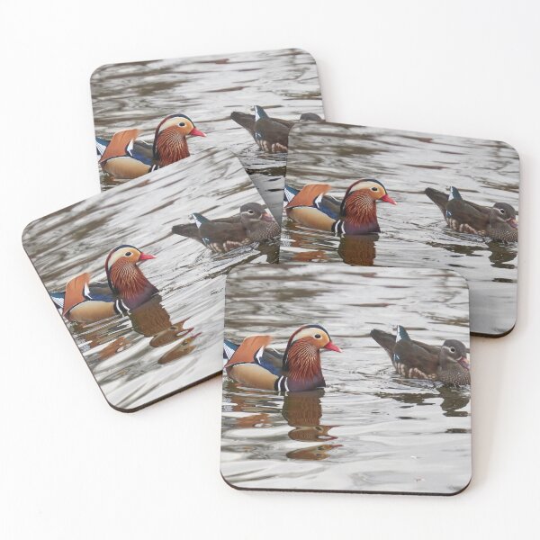 Item preview, Mandarin ducks. Schloss Charlottenburg.Berlin designed and sold by Jouko Lehto Photography.