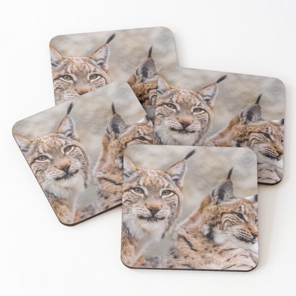 Item preview, Eurasian lynx pair  designed and sold by Martin Leber.