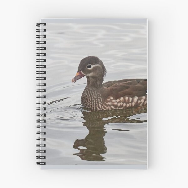 Item preview, Mandarin duck. Schloss Charlottenburg.Berlin designed and sold by Jouko Lehto Photography.
