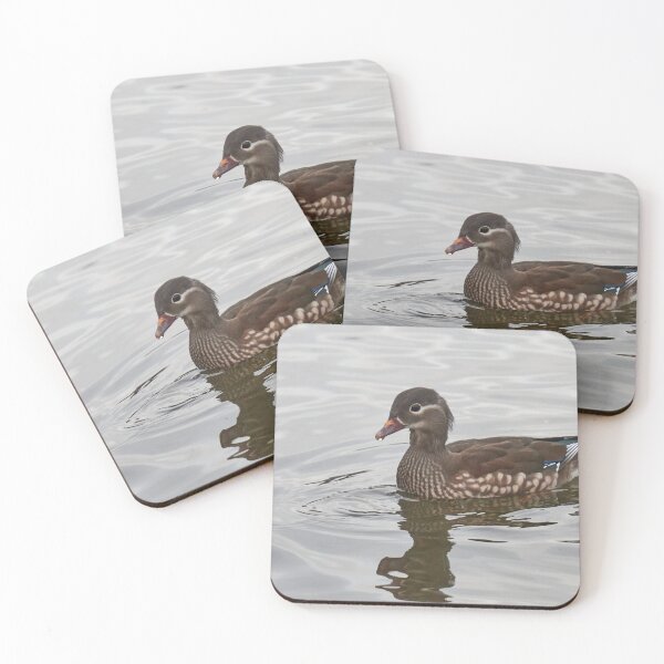 Item preview, Mandarin duck. Schloss Charlottenburg.Berlin designed and sold by Jouko Lehto Photography.