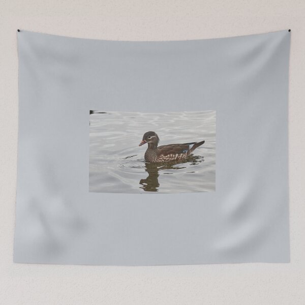 Item preview, Mandarin duck. Schloss Charlottenburg.Berlin designed and sold by Jouko Lehto Photography.