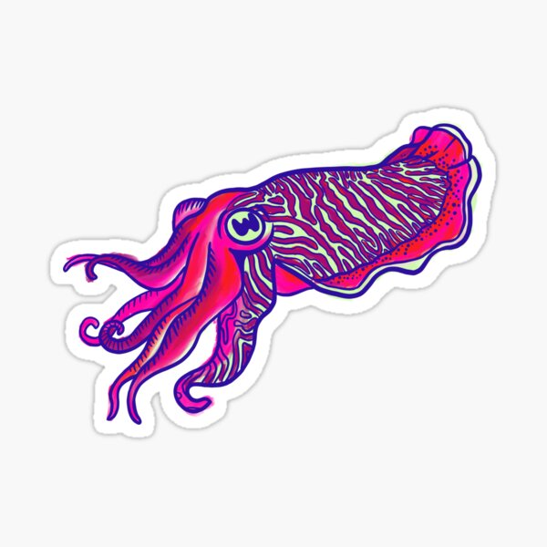 Item preview, Cuttlefish designed and sold by K Greco.
