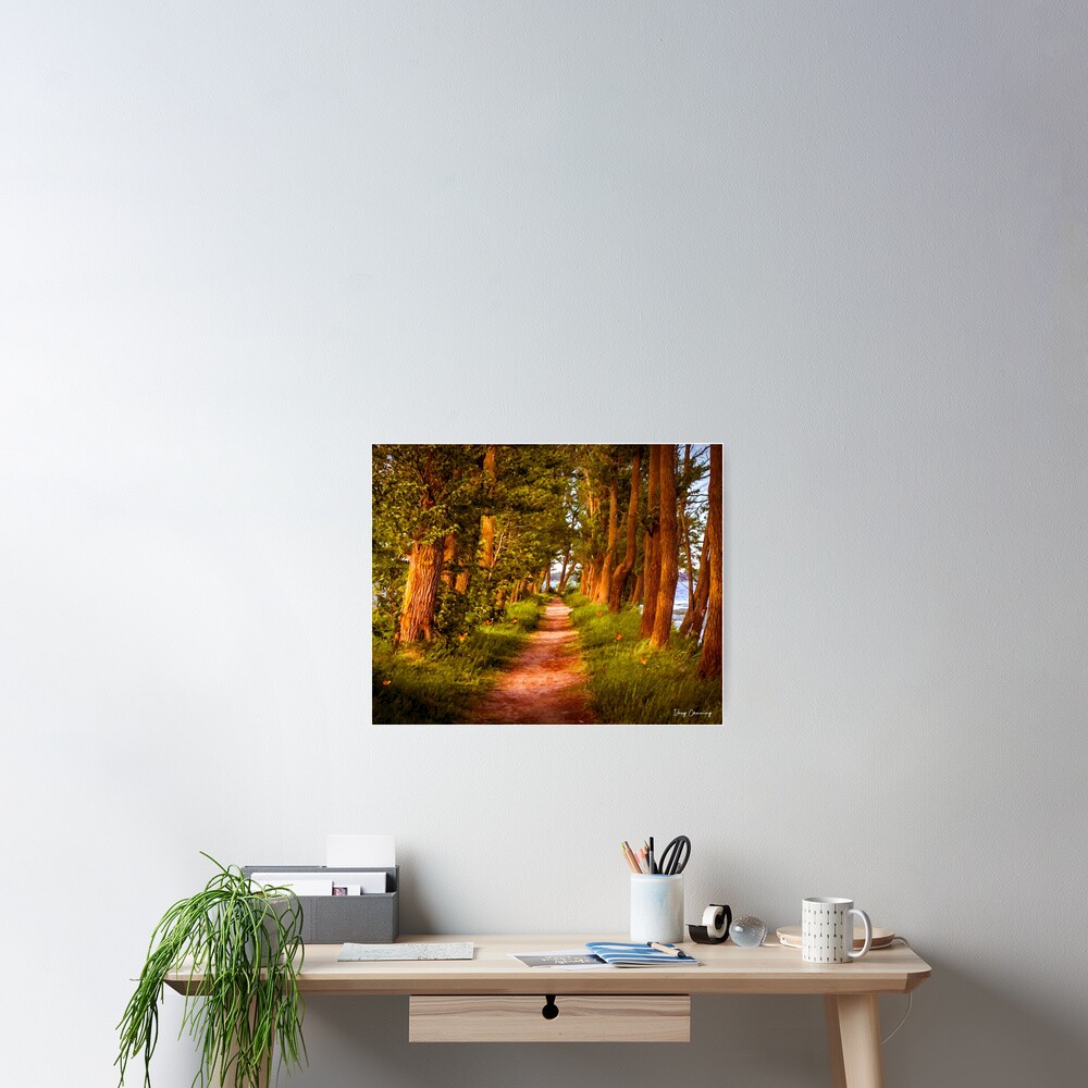 Item preview, Poster designed and sold by dscanning.