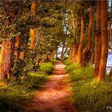 Artwork thumbnail, Flutterby Way by Doug's Landing