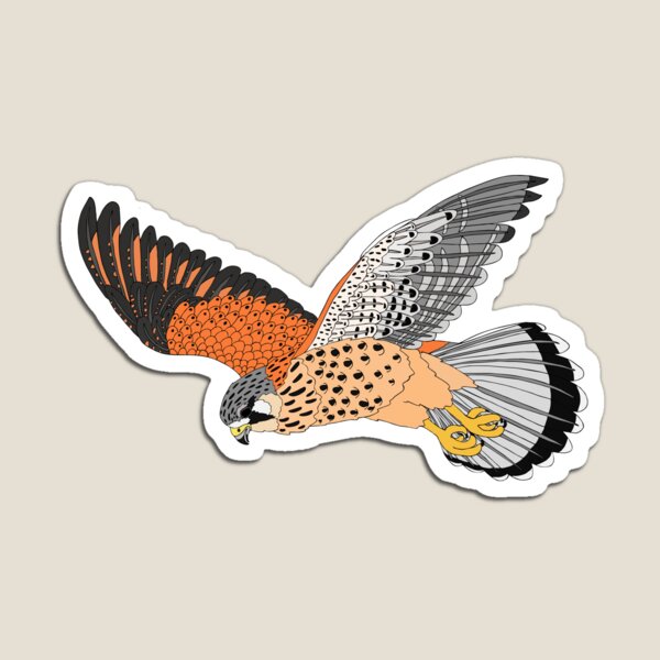 Kestrel Magnet