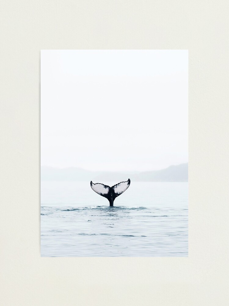 Whale Tail, Ocean Decor, Modern Minimalist Art Photographic Print