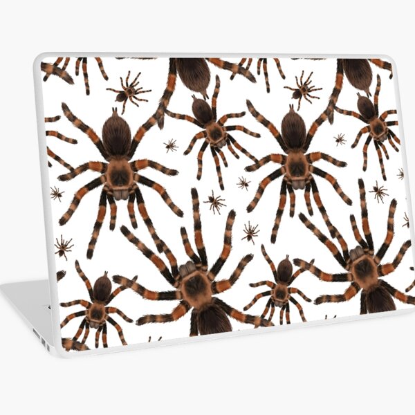 17 Tarantula Accessories: (Must-Have + Nice-To-Have) – Cool Pets