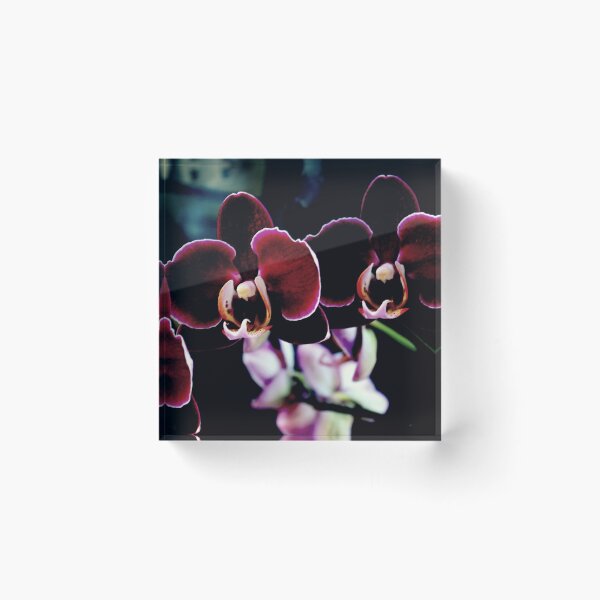 Item preview, Crushed Velvet Orchid designed and sold by Michael May.