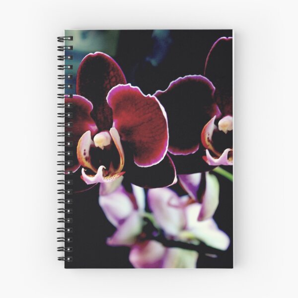 Item preview, Crushed Velvet Orchid designed and sold by Michael May.