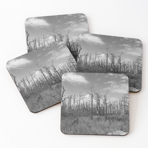 Item preview, Ghost Forest in Black and White designed and sold by LizAlbroPhotos.