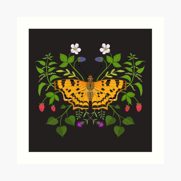 Butterfly with berries Art Print