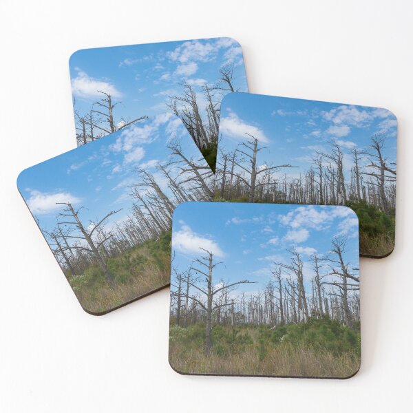 Item preview, Stripped Trees Along the Dunes designed and sold by LizAlbroPhotos.