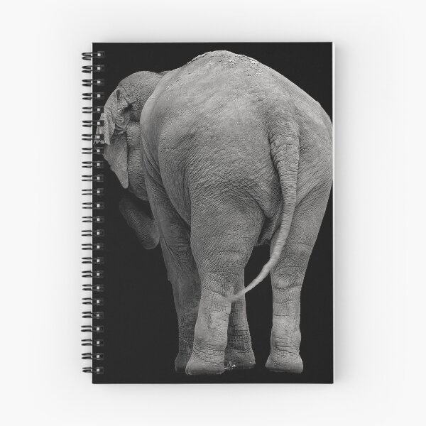 Item preview, Asian Elephant I designed and sold by Bevlea Ross.