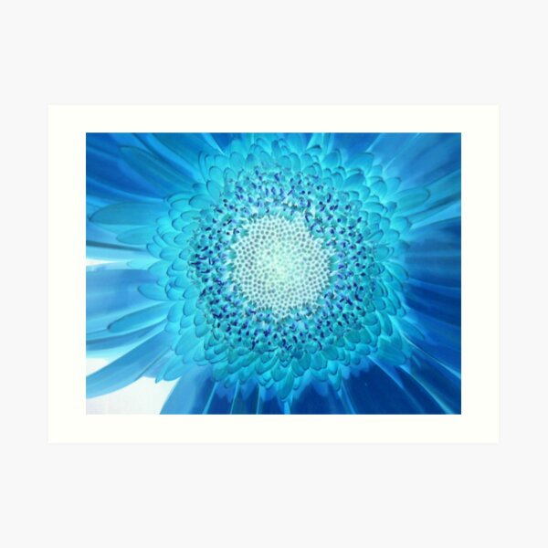 BLUE GERBERA Art Print