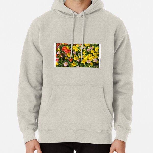 moss rose,how to grow Pullover Hoodie