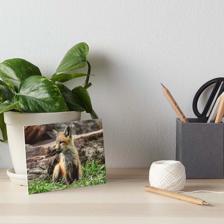 Item preview, Art Board Print designed and sold by Lostbear.