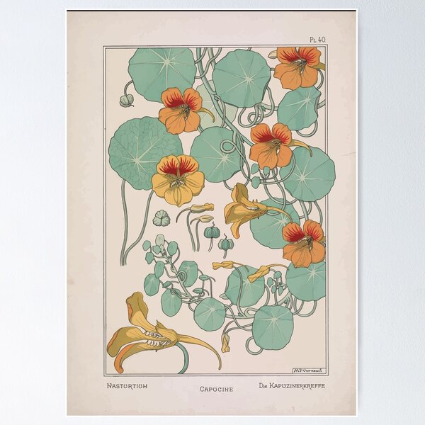 Item preview, Plante et Ses Applications Ornementales Ornamental Plants Grasset Eugene Maurice Pillard Verneuil 1896 Art Nouveau 0079 Nasturtium designed and sold by wetdryvac.