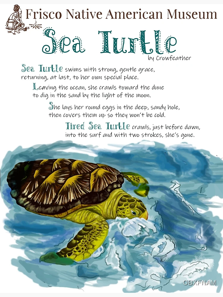 Sea Turtle Birthday Card, Letterpress Cards