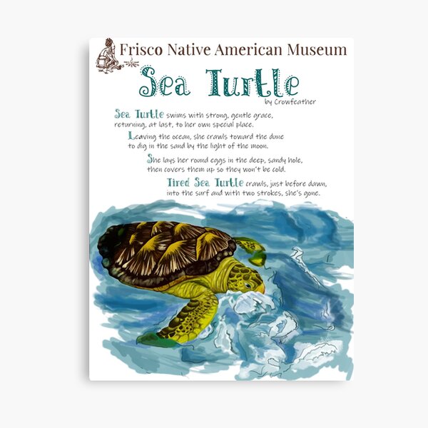 Sea Turtle With Poem Canvas Print