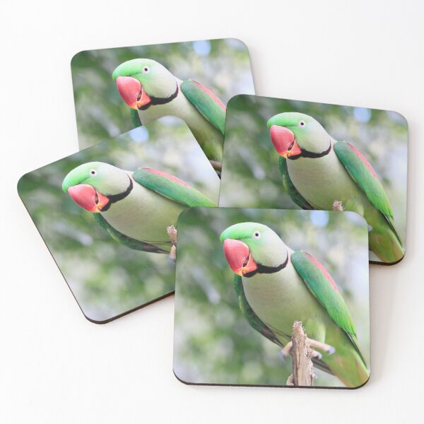 Item preview, Alexandrine Parrot designed and sold by Bevlea Ross.