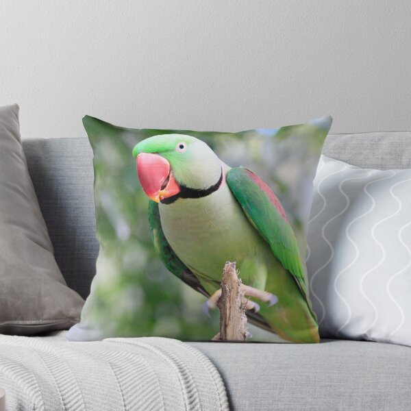 Item preview, Alexandrine Parrot designed and sold by Bevlea Ross.