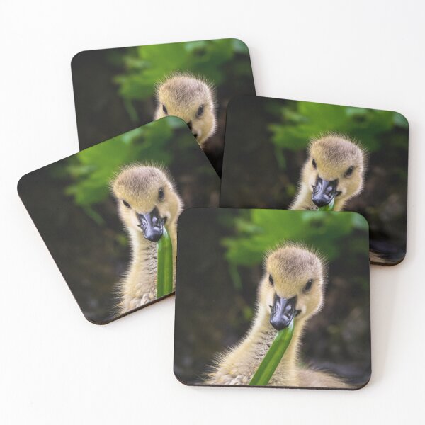 Item preview, Cute gosling designed and sold by PhotoLux.