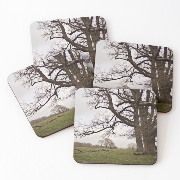 Item preview, bare trees designed and sold by Ms-Bexy.
