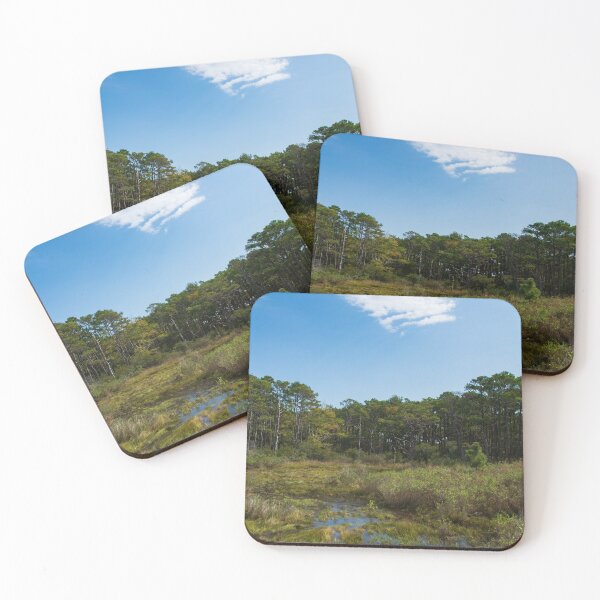 Item preview, Assateague Island Marsh designed and sold by LizAlbroPhotos.
