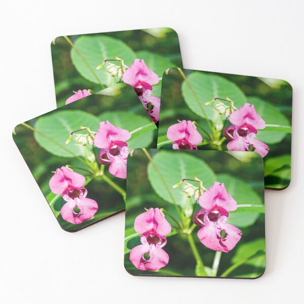Item preview, Pink Himalayan Balsam flowers designed and sold by lena-maximova.