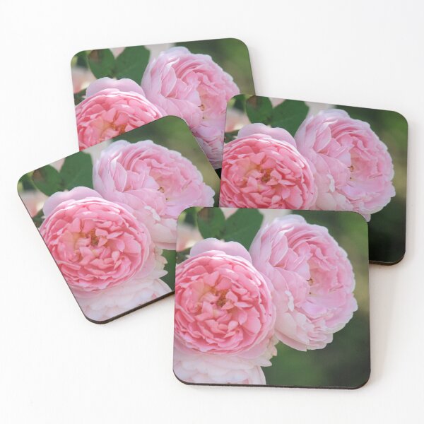 Item preview, Pretty in Pink, Victorian State Rose Garden designed and sold by Bevlea Ross.