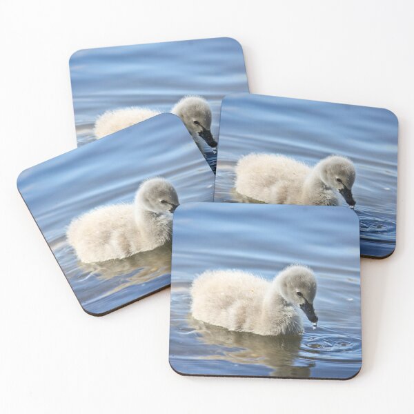 Item preview, Cygnet Dreaming designed and sold by Bevlea Ross.