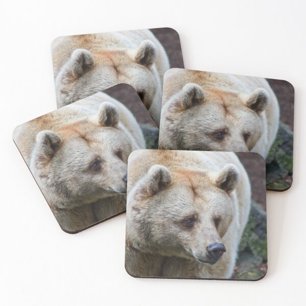 Item preview, Where's Boo Boo? designed and sold by Bevlea Ross.