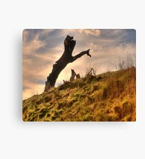 Beyond The Black Stump - Near Oberon, NSW - The HDR Experience Canvas Print