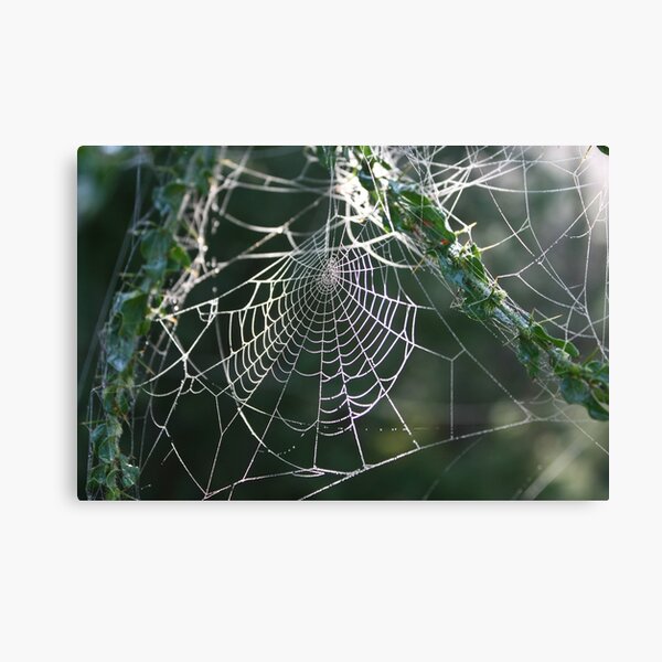 Item preview, Jewelled Web designed and sold by Bevlea Ross.
