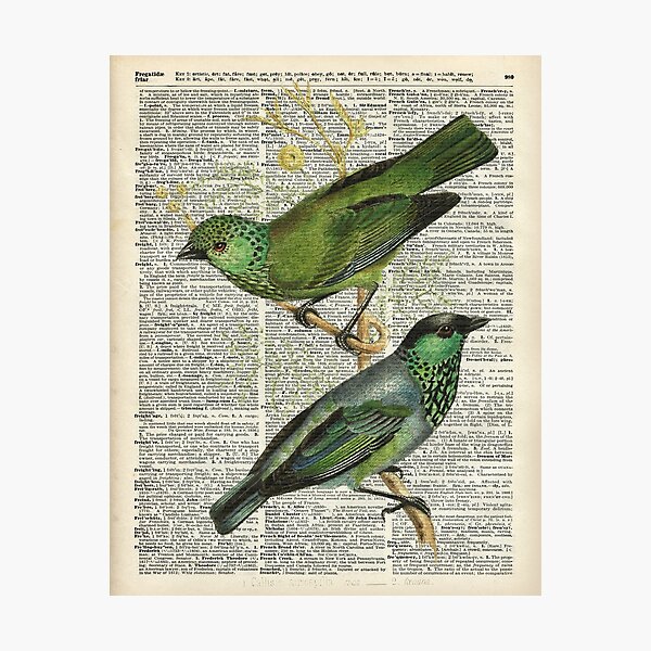 Item preview, Green Canary Brds Over Vintage Book Page designed and sold by DictionaryArt.