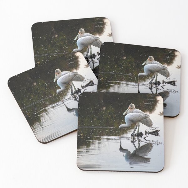 Item preview, Two Yellow-billed Spoonbill   (Platalea flavipes) designed and sold by DPalmer.